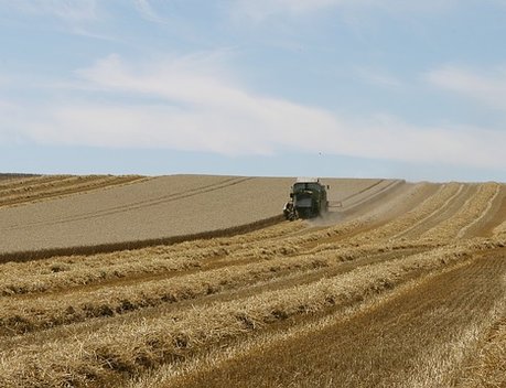 Кредитование сезонных полевых работ выросло на 38 %