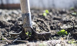 В Башкортостане направят 1,1 млрд рублей на развитие фермерства и кооперации