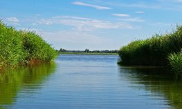 Около 50 млн рублей выделено на расчистку лиманов на Кубани