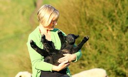 Законодательно закреплен сокращенный рабочий день для сельских женщин