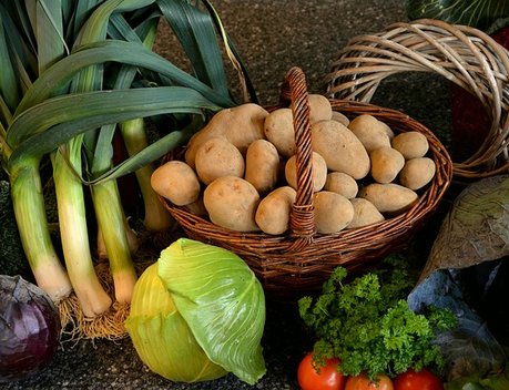 Грантовая поддержка фермеров и сельской кооперации Коми в рамках нацпроекта составит 30 млн рублей