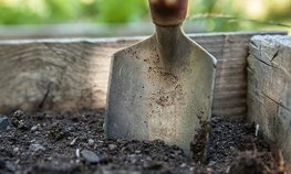 Более 40 млн рублей на обустройство инженерных сетей получили СНТ Ленинградской области
