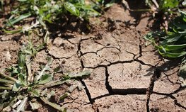 Аграрии Калмыкии, пострадавшие от ЧС, получат до 562 млн рублей