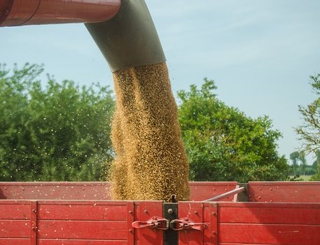 Правительство расширило поддержку экспорта сельхозпродукции