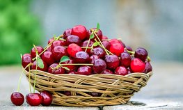 Утверждена дорожная карта по развитию плодово-ягодной отрасли