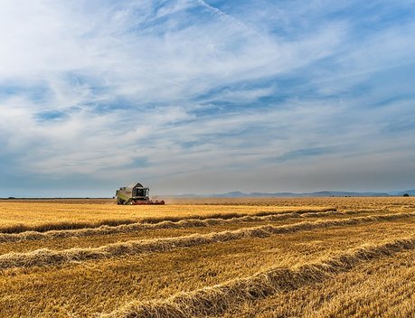 Около 6 млрд рублей господдержки получили аграрии Подмосковья с начала года