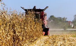 В России завершилась уборочная кампания
