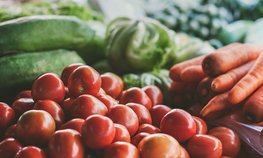 Минсельхоз ожидает рост производства продукции АПК в 2020 году более 2 %