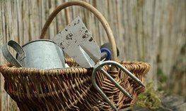 Новосибирская область направит более 17 млн рублей на поддержку садоводческих объединений