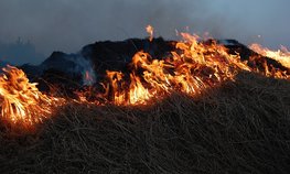 Хозяйства, допускающие сельхозпалы, могут лишить субсидий