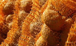 Костромская область направит 5 млн рублей на поддержку экспорта продукции АПК