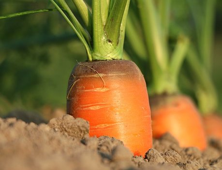 АО СК «РСХБ-Страхование» выплатило ООО «Руспродукт-Заволжье» 11 млн рублей
