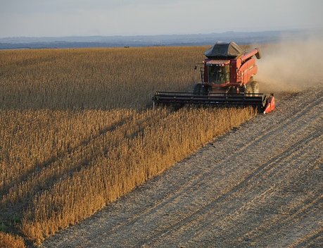 Кредитование сезонных полевых работ увеличилось на 25,4 %