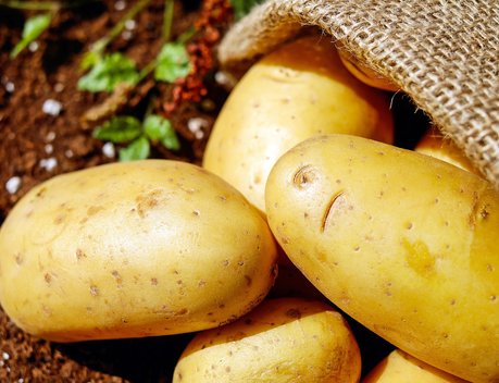 Минсельхоз Коми поддержит заготовителей, закупающих сельхозпродукцию ЛПХ