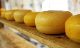 А. Кондратенко: Вопросы внедрения цифровой маркировки молочной продукции рассмотрели на примере Воронежской области