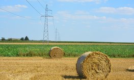 В 2021 году кредитование сезонных полевых работ увеличилось на 24,3 %