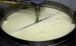 Сельхозтоваропроизводители Курганской области смогут получить грант на реализацию проектов, основанных на сельхозкооперации