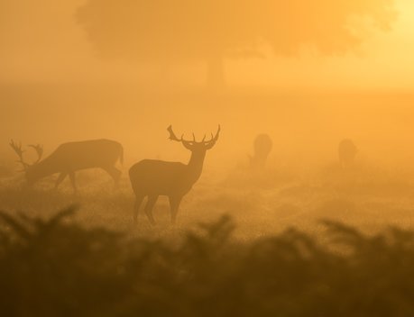 На Чукотке на закупку техники для оленеводов и морских охотников направили 72 млн рублей