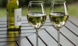 Объемы собранного в Севастополе винограда увеличились на 30 %