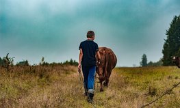 Субсидии на развитие личного подсобного хозяйства получил 841 самозанятый в Чувашии