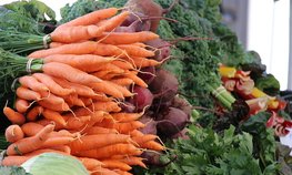 В Чувашии в 2023 году намерены открыть агромаркет с фермерской продукцией