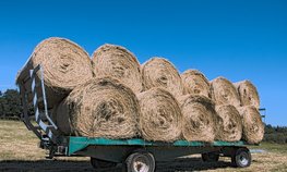Кредитование сезонных полевых работ увеличилось на 1,6 %