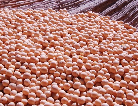 Правительство утвердило перечень сельхозпродукции, при экспорте которой допускается применение особого порядка расчетов
