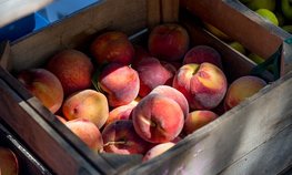 В Москве открылась II Международная специализированная выставка-форум «Global Fresh Market: Vegetables & Fruits»