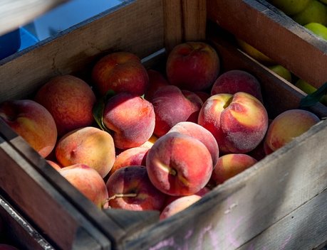 В Москве открылась II Международная специализированная выставка-форум «Global Fresh Market: Vegetables & Fruits»