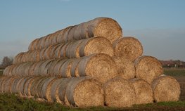 Кредитование сезонных полевых работ увеличилось на 4,7 %