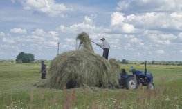 Правительство направит более миллиарда рублей на поддержку программы льготного лизинга для МСП