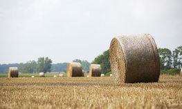 Кредитование сезонных полевых работ увеличилось на 1,9 %