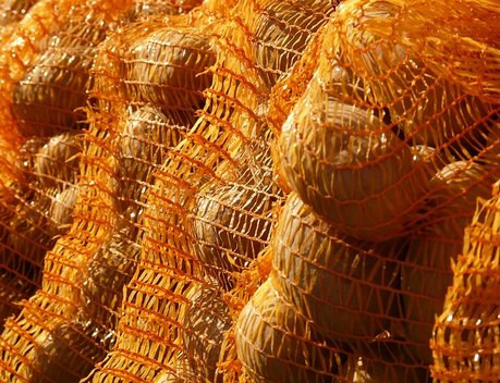 Семь сельхозкооперативов Красноярского края получили господдержку по нацпроекту