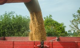 Россия с 11 января повысит экспортную пошлину на пшеницу