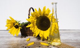 Россия наращивает экспорт масложировой продукции