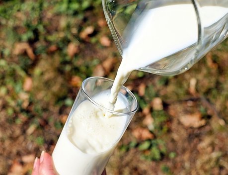 Производство молока в Кабардино-Балкарии выросло на 11 % за год