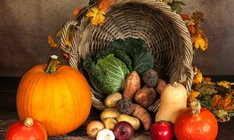 Аграрии из регионов УрФО представят продукцию на выставке в Екатеринбурге