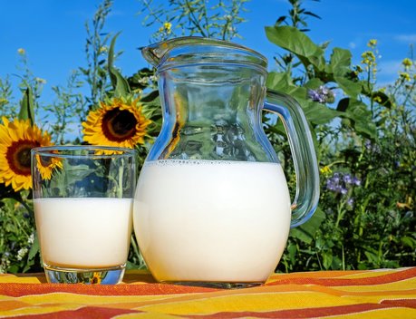 В Ивановской области выросло производство животноводческой продукции