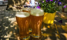 Казахстан на треть нарастил импорт пива из России