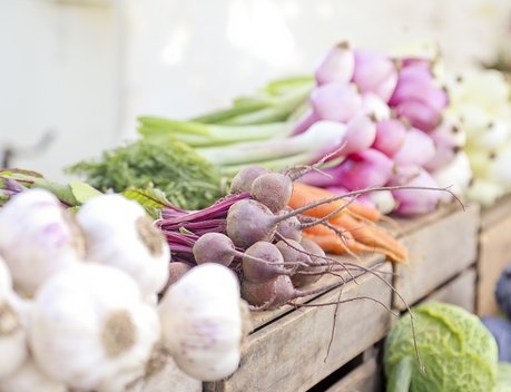 Южная Осетия до конца 2025 года отправит на экспорт в РФ первую партию чеснока