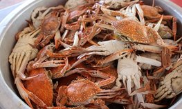 «Агроэкспорт»: выручка за экспорт ракообразных в октябре обновила годовой максимум