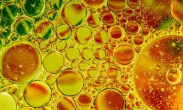 Объем экспорта масложировой продукции из Новосибирской области вырос в 2,2 раза