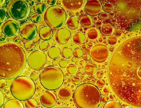 Объем экспорта масложировой продукции из Новосибирской области вырос в 2,2 раза