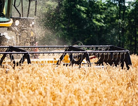 Оксана Лут доложила о предварительных итогах уборки урожая в 2025 году на заседании правительства